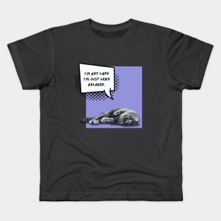 I'm not lazy I'm just very relaxed cat Kids T-Shirt